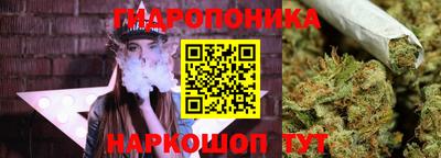 мяу мяу мука Камышлов