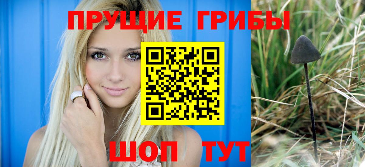Псилоцибиновые грибы прущие грибы  Псилоцибиновые грибы мухоморы  Балтийск  Вход с VPN 